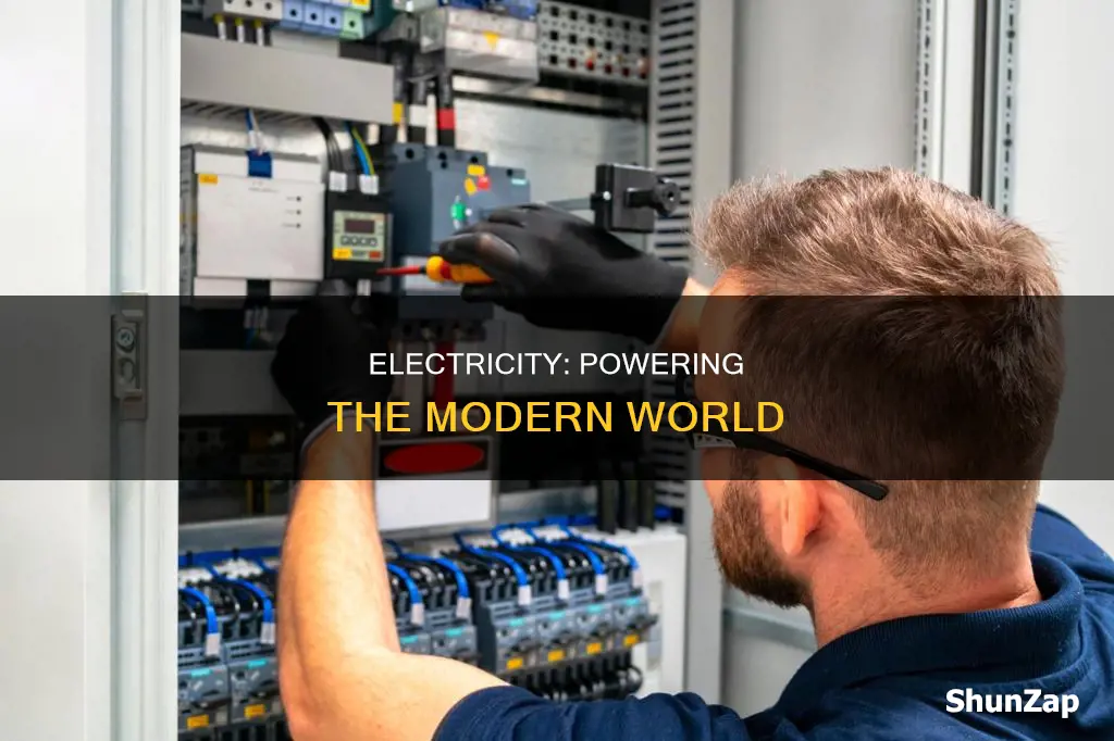 how important is electricity to contemporary society