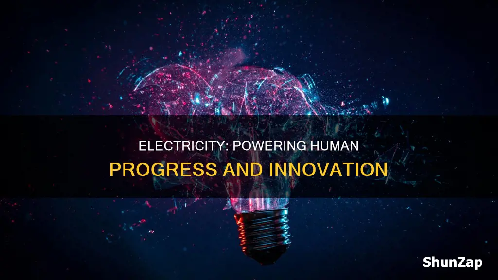 how important is electricity to human beings