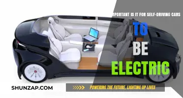 Electric Power: A Must-Have for Self-Driving Cars' Future?