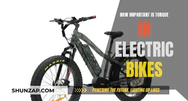 Torque in E-bikes: Powering the Revolution