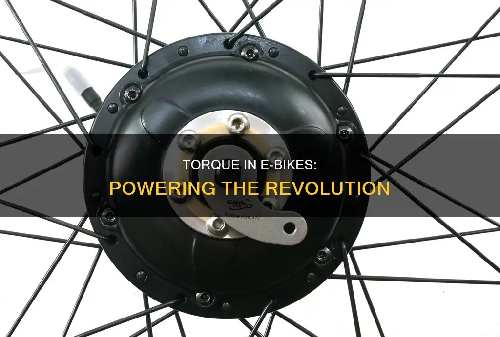 how important is torque in electric bikes