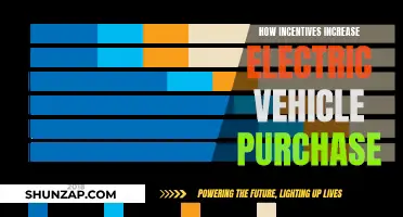 Boosting EV Sales: The Power of Incentives