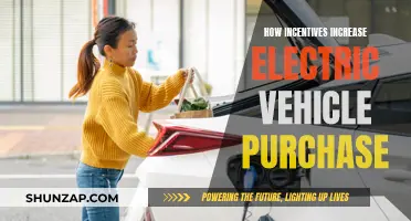 Incentivizing Electric Vehicle Purchases: The Power of Rewards
