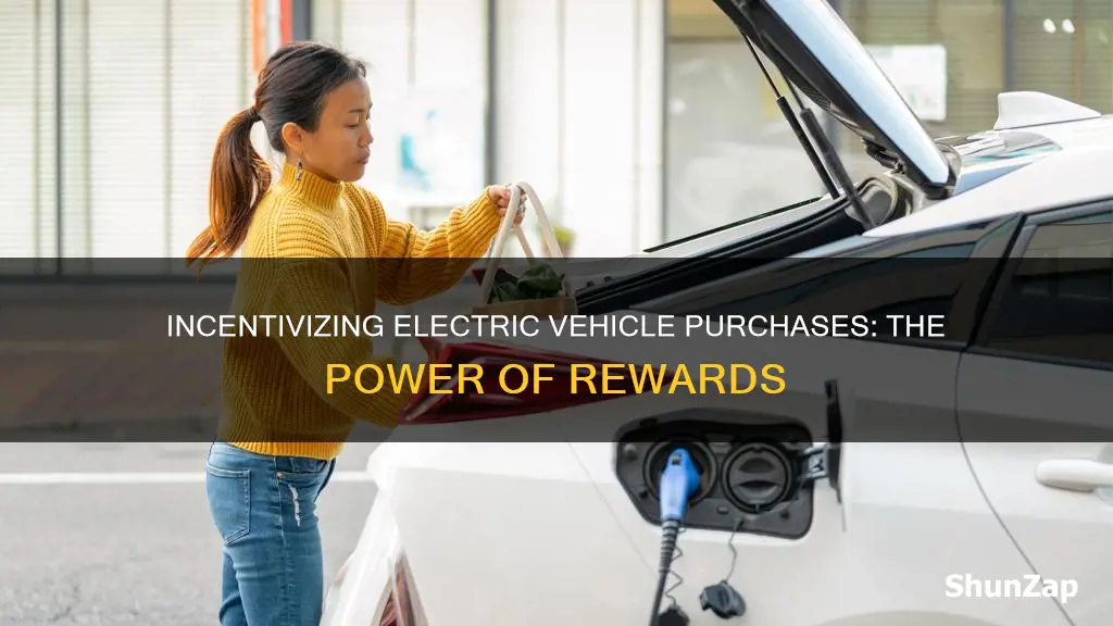 how incentives increase electric vehicle purchase