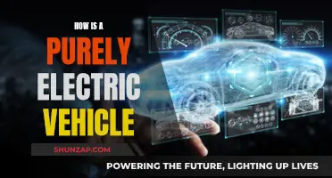 The Future of Driving: Exploring Purely Electric Vehicles