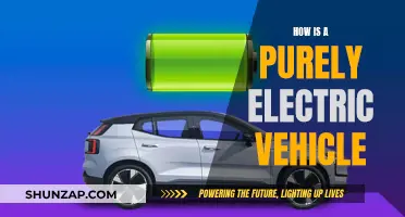 Electric Vehicles: The Future of Sustainable Transportation