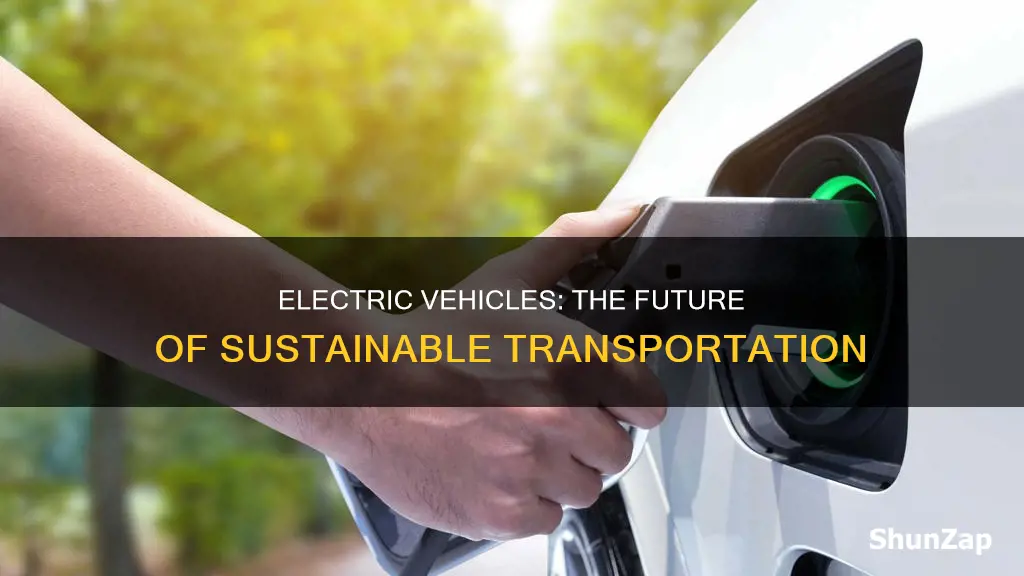 how is a purely electric vehicle