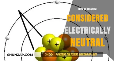 The Electrically Neutral Atom: A Balanced Force