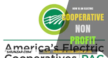 Electric Cooperatives: Non-Profit Power for Communities