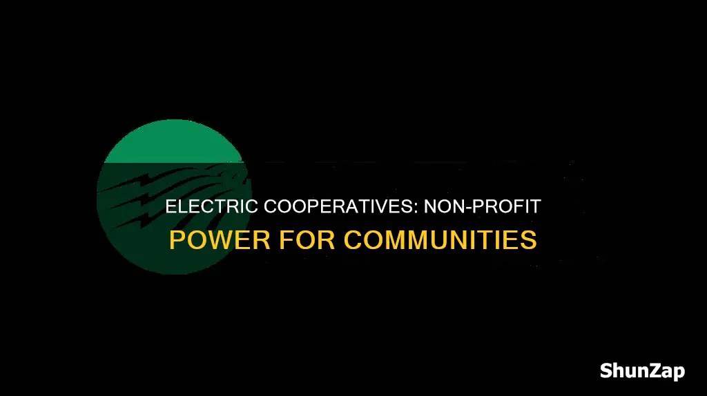 how is an electric cooperative non profit