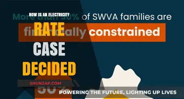 Electricity Rate Case: Who Decides and How?