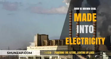Brown Coal's Electric Transformation: Powering Our World