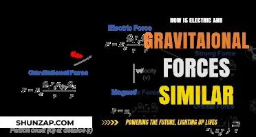 Electricity and Gravity: A Forceful Similarity