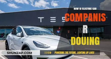 Electric Car Companies' Performance: Growth, Challenges, and Future Outlook