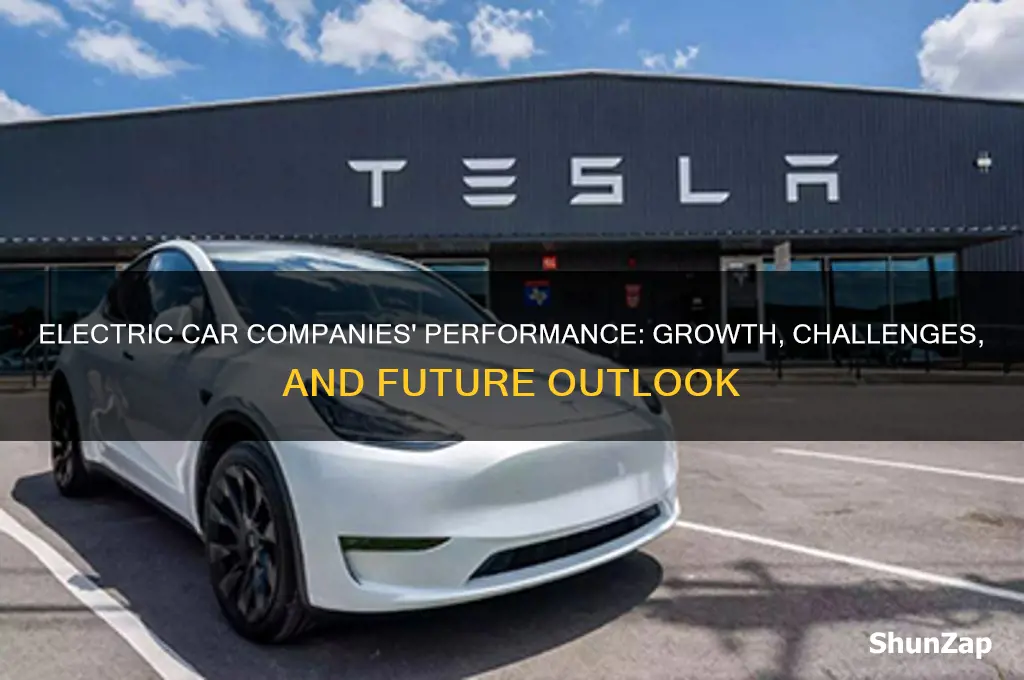 how is electric car companis r douing