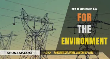 Electricity's Environmental Impact: Exploring the Dark Side