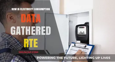 Electricity Data: RTE's Collection Methods Explained