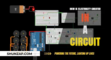 Creating Electric Circuits: Powering Up!