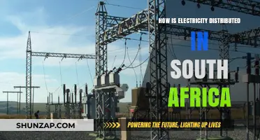 Electricity Distribution in South Africa: An Overview
