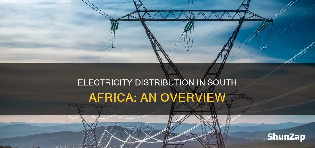how is electricity distributed in south africa
