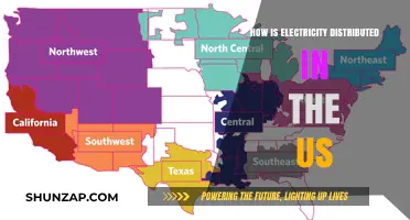 Electricity Distribution in the US: A Complex Network