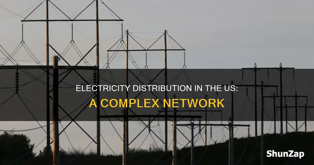 how is electricity distributed in the us