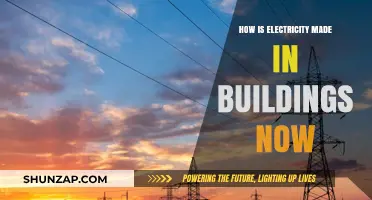 The Evolution of Electricity Generation in Buildings