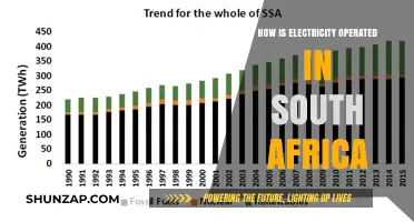 Electricity Operations in South Africa: An Overview