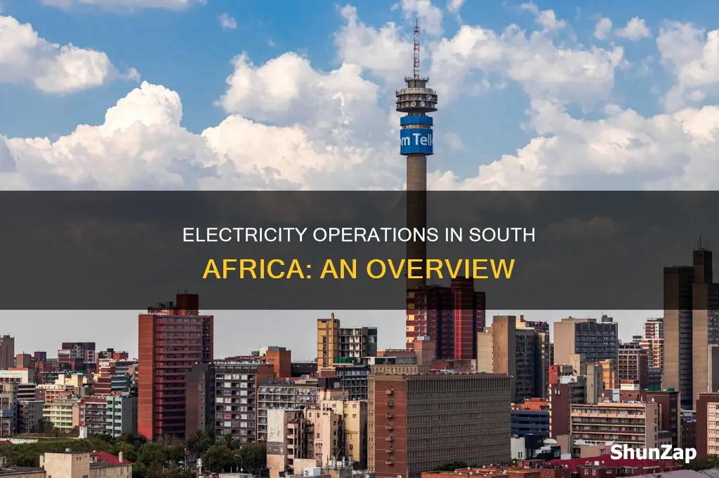 how is electricity operated in south africa