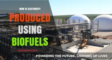 Biofuels Power Generation: How Electricity is Produced Sustainably