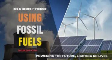 Powering the World: Fossil Fuels' Role in Electricity Generation