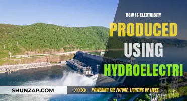 Harnessing Water Power: Understanding Hydroelectricity's Role in Electricity Generation
