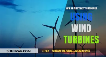 Harnessing Wind Power: How Turbines Generate Clean Electricity