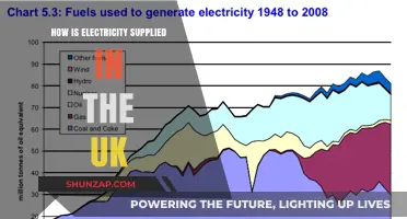 The UK's Power Grid: A Complex Electricity Supply System