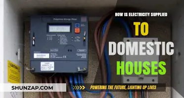 Electricity Supply to Homes: The Power Grid's Reach