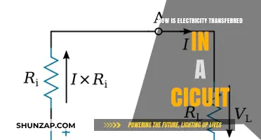 Electricity's Circuitous Journey: How Does It Flow?