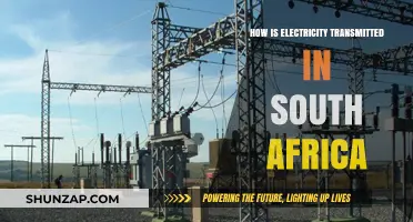 Electricity Transmission in South Africa: A Complex Network