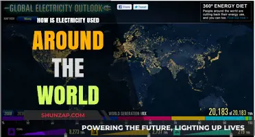Global Power: Diverse Uses of Electricity Across the World