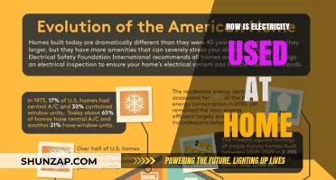 Powering Daily Life: How Electricity Fuels Your Home's Essential Functions
