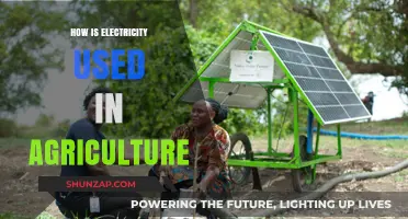 Electricity's Role in Modern Agriculture: Enhancing Efficiency and Productivity