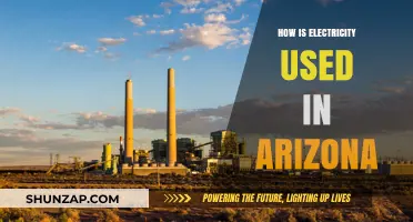 Powering Arizona: Diverse Uses of Electricity in the Grand Canyon State