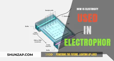 Electrophoresis Explained: How Electricity Powers Molecular Separation Techniques