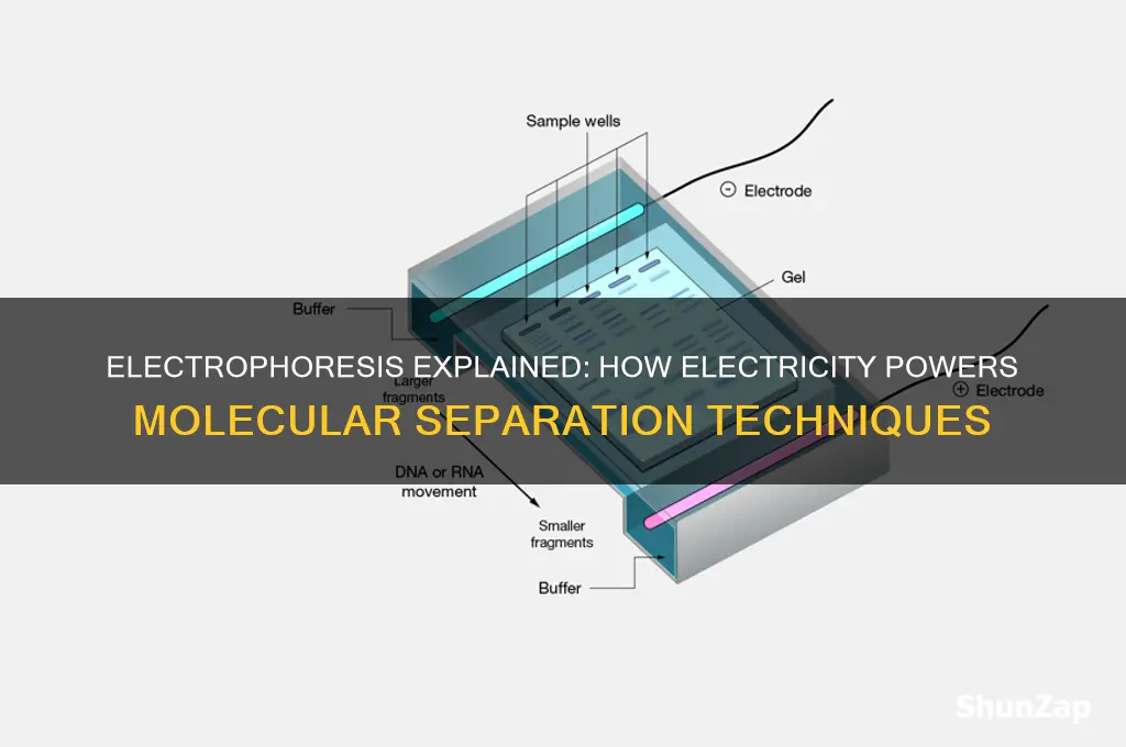 how is electricity used in electrophoresis