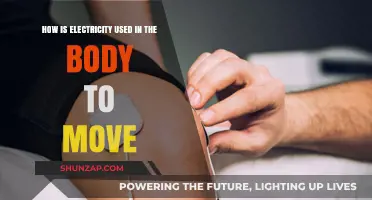 Electricity's Role in Powering Human Movement: A Biological Insight