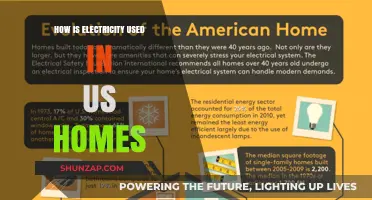 Powering American Homes: Exploring Electricity Usage in Daily Life