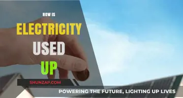 Understanding Electricity Consumption: How Power is Utilized in Daily Life