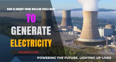 Harnessing Nuclear Power: How Fuel Generates Electricity Efficiently