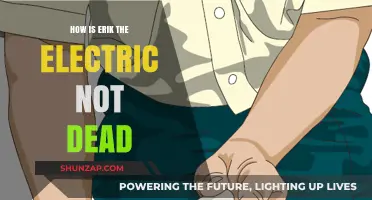 Erik the Electric: Still Alive and Kicking