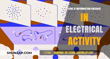 Electrical Activity and Information Encoding: Brain's Secret Code