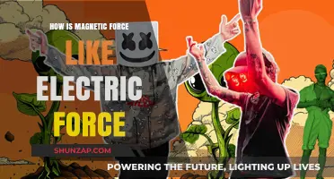Magnetic and Electric Forces: What Are Their Similarities?